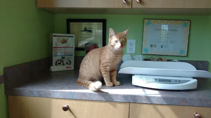 VCA Allendale Animal Hospital Picture 5