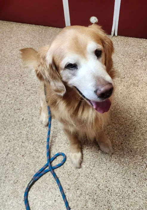 Manistee Veterinary Hospital Picture 4