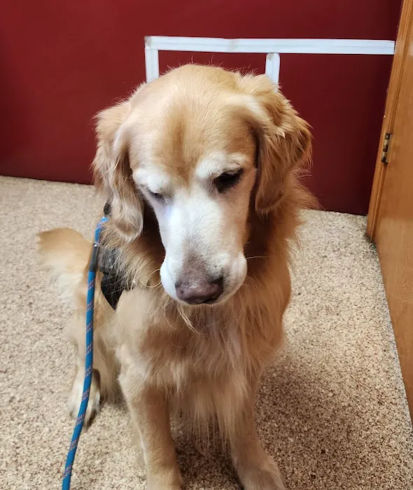 Manistee Veterinary Hospital Picture 6