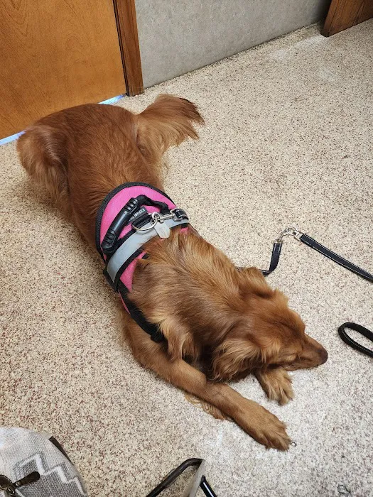 Manistee Veterinary Hospital Picture 7