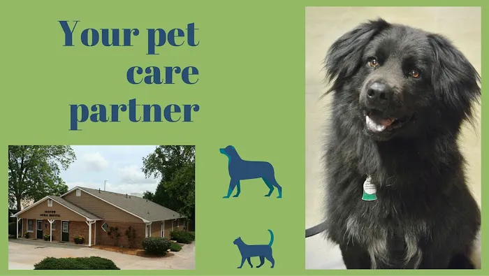 Fairview Animal Hospital Picture 2