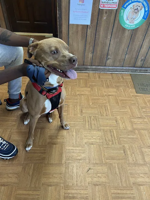 Ellenwood Animal Hospital Picture 1