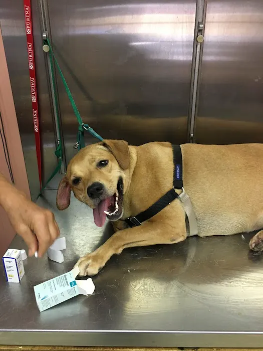 Ellenwood Animal Hospital Picture 5