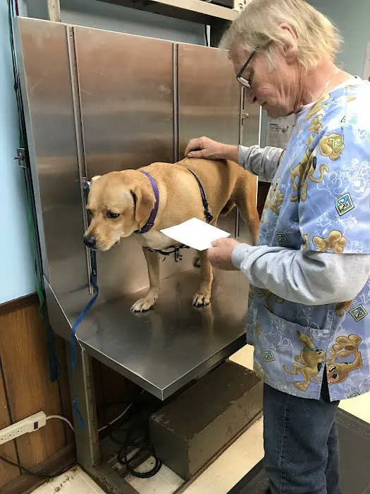 Ellenwood Animal Hospital Picture 7