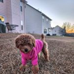 Eagle’s Landing Veterinary Hospital