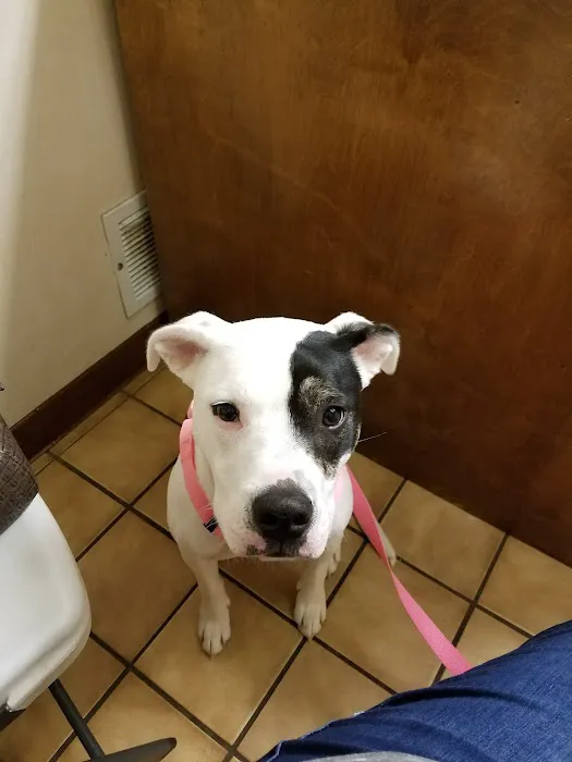 Henry County Veterinary Hospital Picture 1