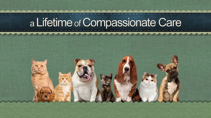 Henry County Veterinary Hospital Picture 5