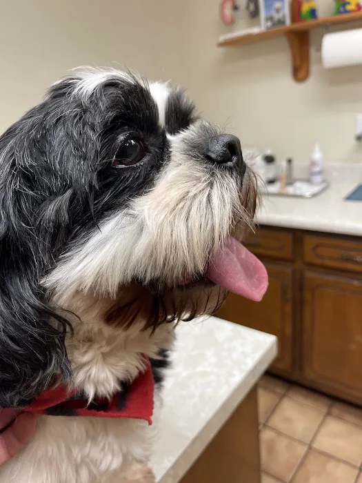 Henry County Veterinary Hospital Picture 6
