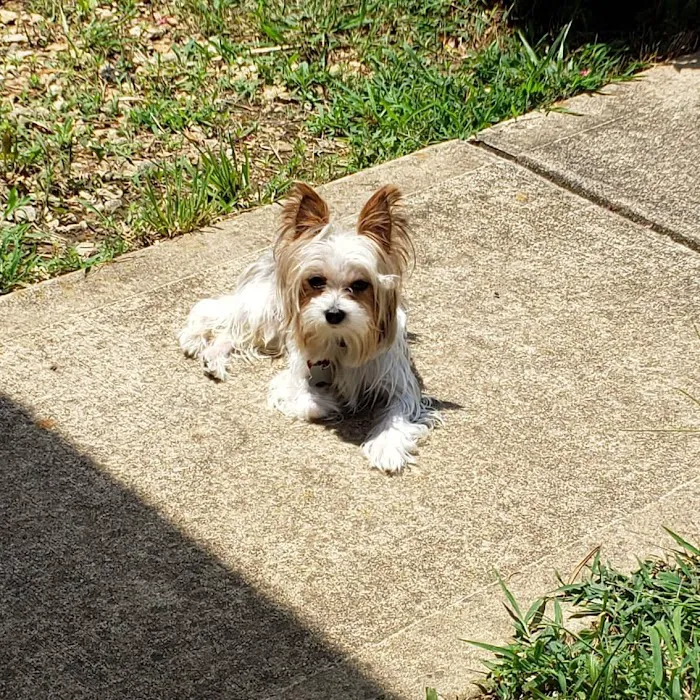 Banfield Pet Hospital Picture 1