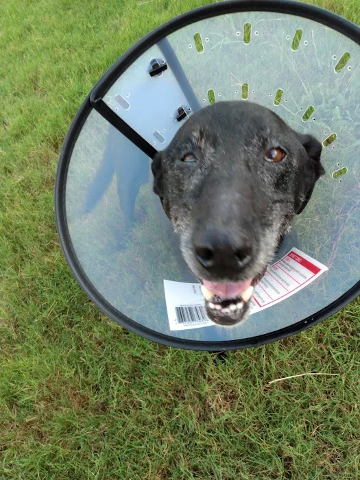 Banfield Pet Hospital Picture 3