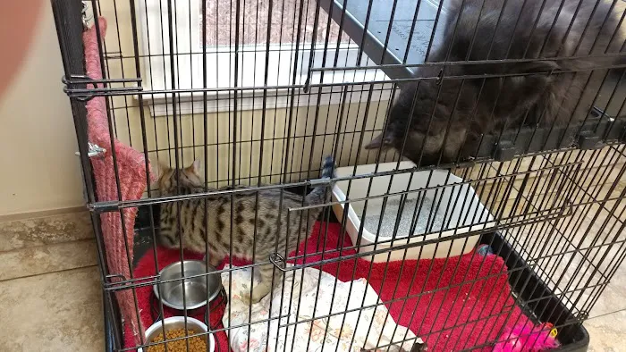 Hudson Bridge Animal Clinic Picture 1
