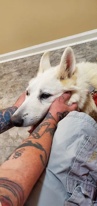 Lake Dow Animal Hospital Picture 2