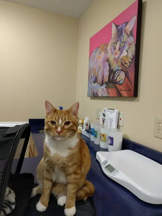 Lake Dow Animal Hospital Picture 5
