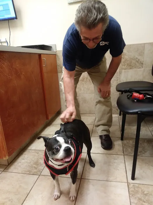 Stockbridge Veterinary Hospital Picture 2