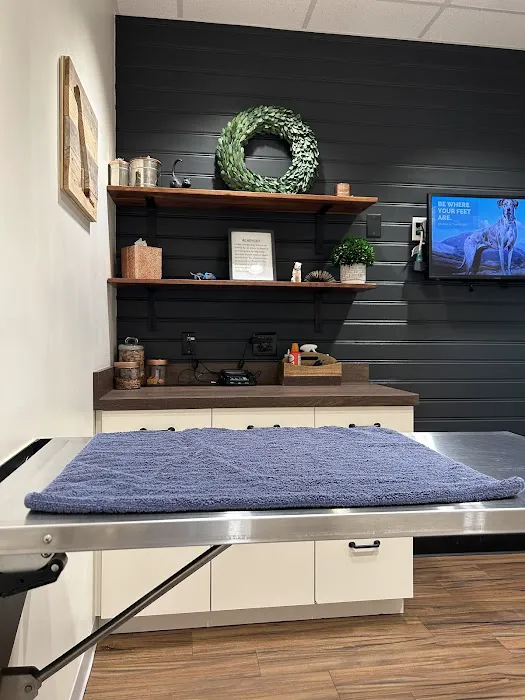 The Healthy Pet Veterinary Clinic Picture 2