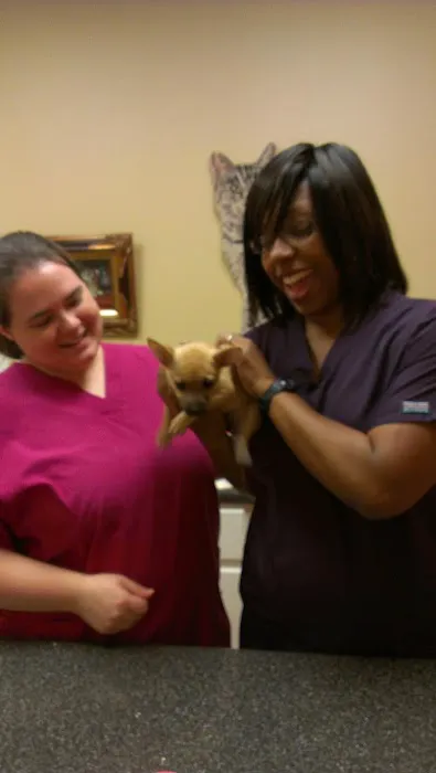 Mallards Landing Veterinary Hospital Picture 2