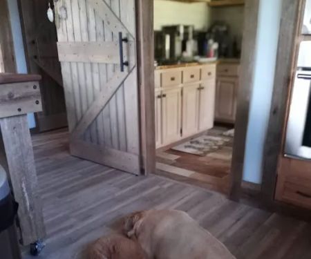 Locust Grove Veterinary Clinic