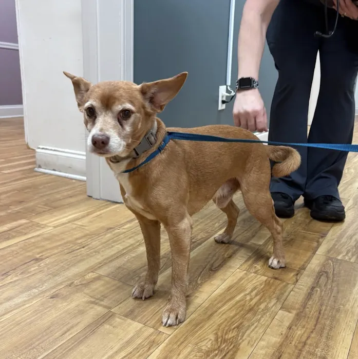 The Grove Animal Hospital Picture 10