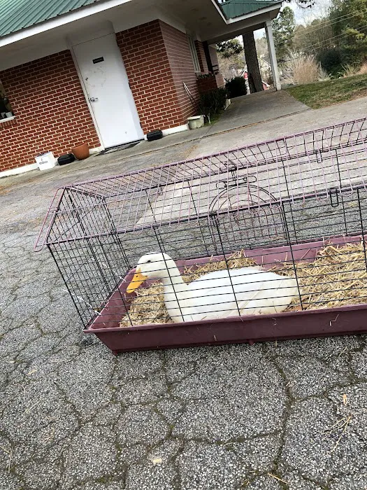 Bremen Animal Hospital Picture 5