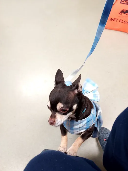Bremen Animal Hospital Picture 8