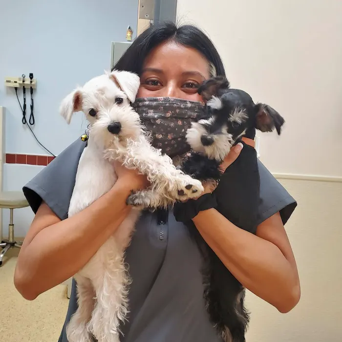 South Fulton Pet Care Picture 5