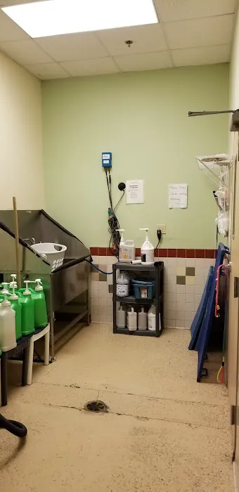 South Fulton Pet Care Picture 1