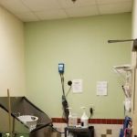 South Fulton Pet Care
