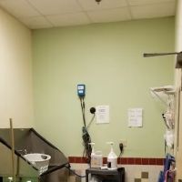 South Fulton Pet Care ico