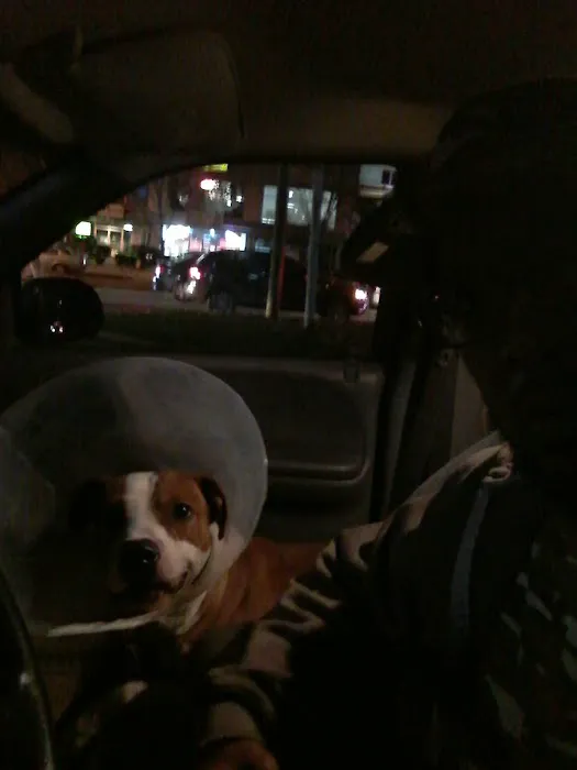 Animal Furist Medical Center Picture 4