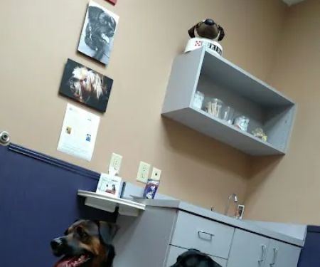 East Atlanta Animal Clinic