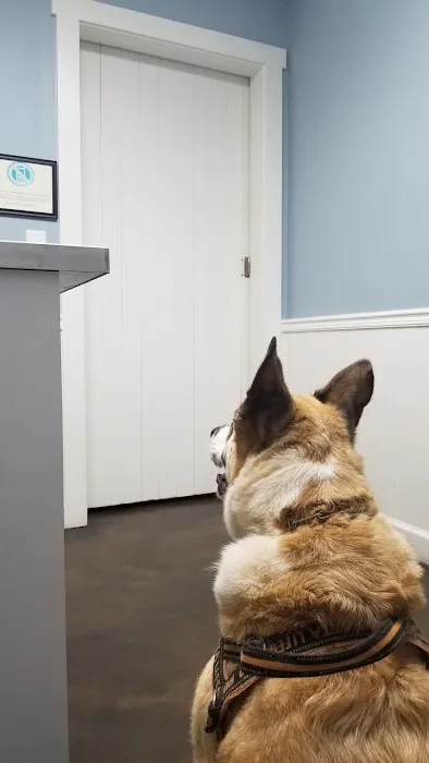 Ormewood Animal Hospital Picture 3