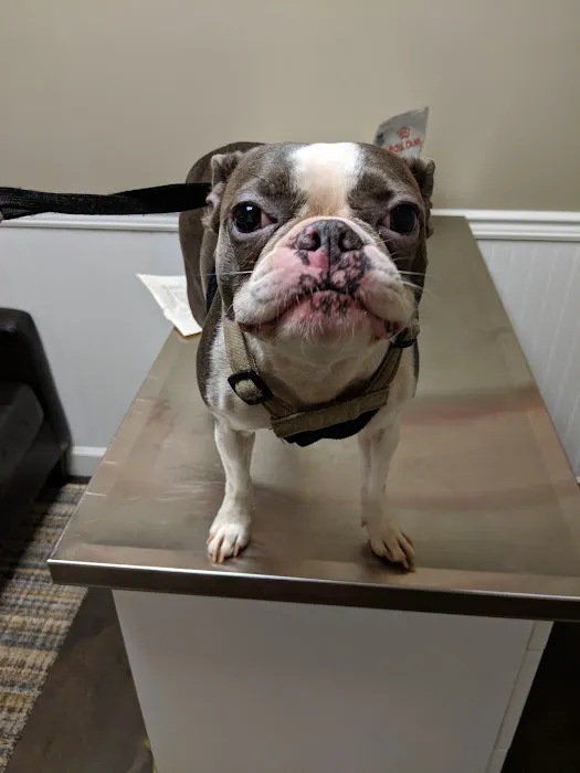 Ormewood Animal Hospital Picture 1