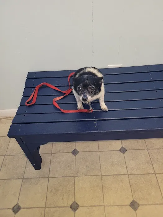 Fidelis Animal Hospital Picture 3