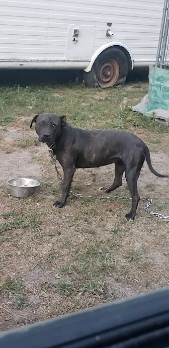 Georgetown Animal Clinic Picture 3