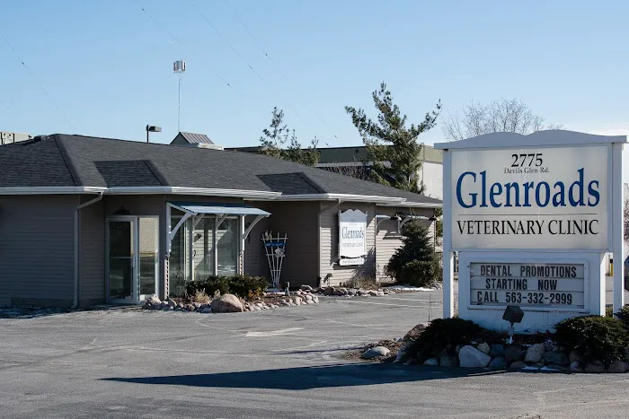 Glenroads Veterinary Clinic, A Thrive Pet Healthcare Partner Picture 3