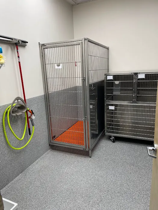 Klein Animal Clinic Picture 6