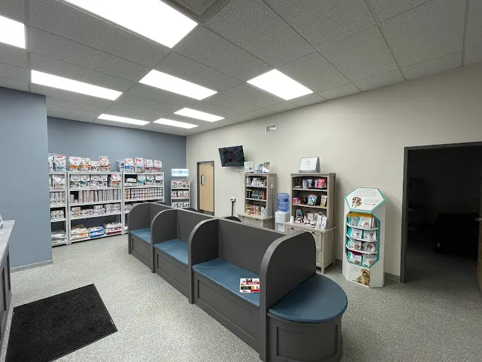 Klein Animal Clinic Picture 5