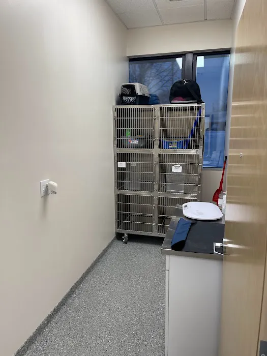 Klein Animal Clinic Picture 10