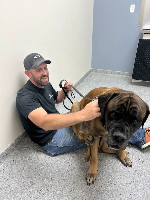 Klein Animal Clinic Picture 7