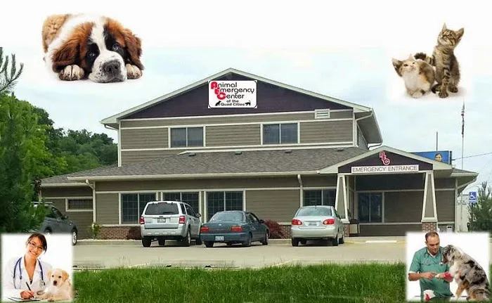 Animal Emergency Center Of The Quad Cities Picture 7