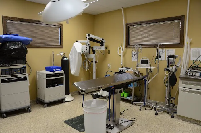 Animal Emergency Center Of The Quad Cities Picture 2
