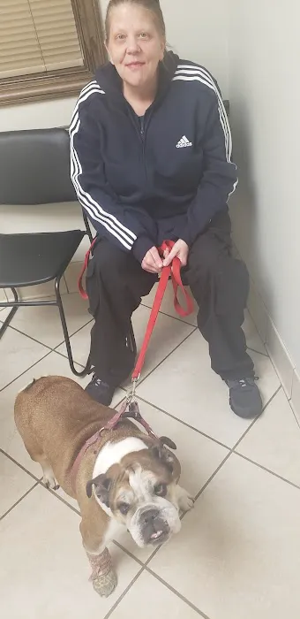 Animal Emergency Center Of The Quad Cities Picture 4