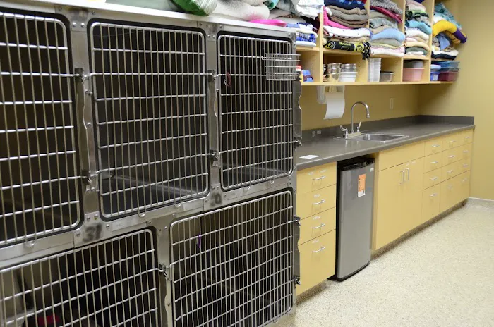 Animal Emergency Center Of The Quad Cities Picture 6