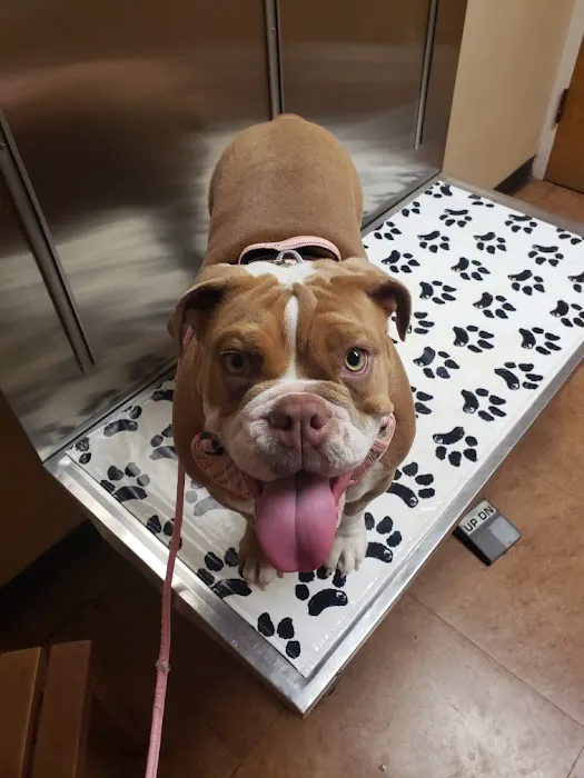 River Bend Animal Clinic PC Picture 5