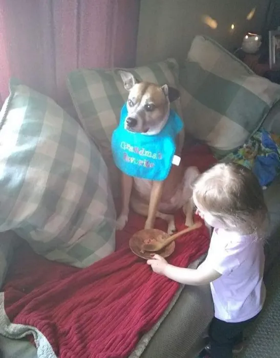 Becker Veterinary Clinic Picture 7