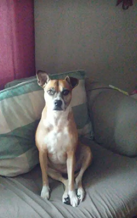 Becker Veterinary Clinic Picture 8