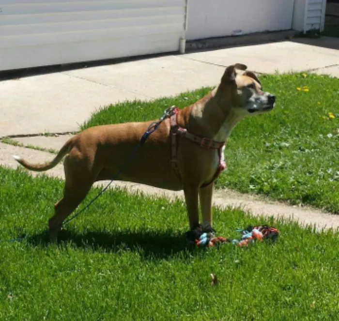 Becker Veterinary Clinic Picture 9