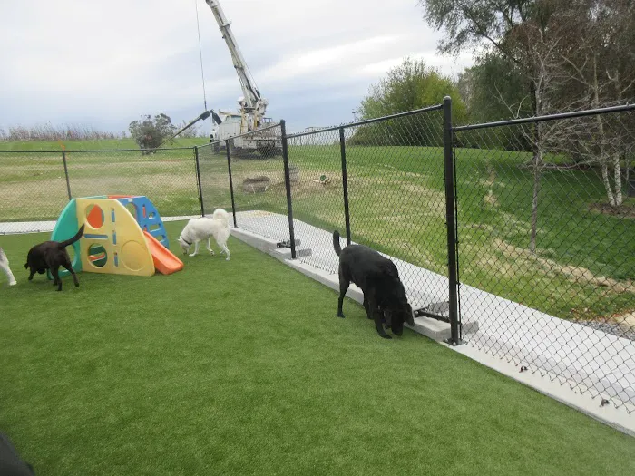 Animal Family Veterinary Care Center Picture 9