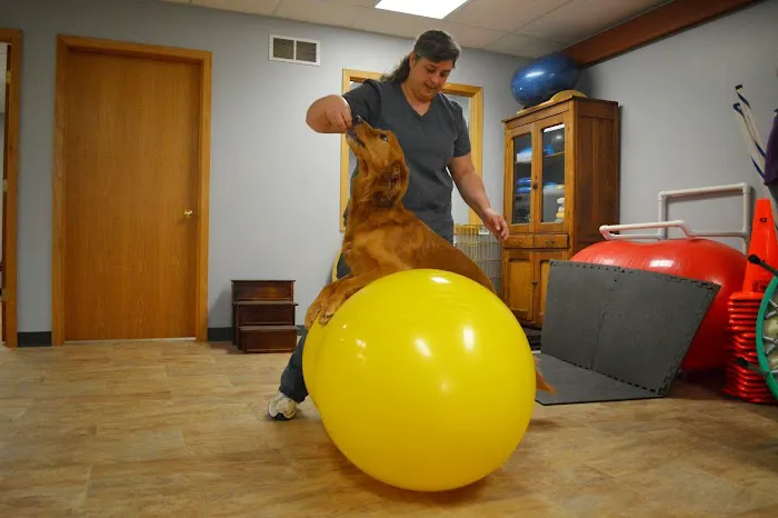 Another Way Veterinary Rehabilitation & Chiropractic Care Picture 6