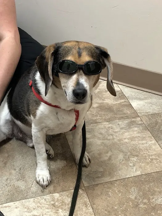 Care Animal Center Picture 1